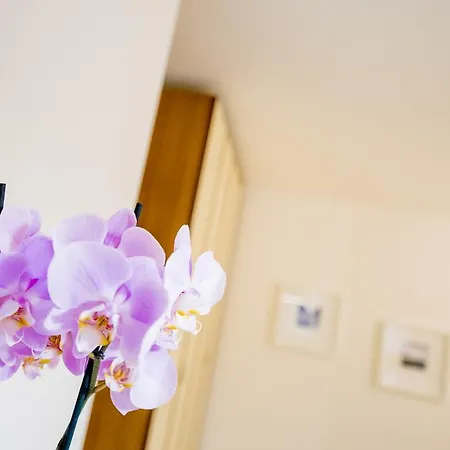 Apartment Santa Marta Dependance *